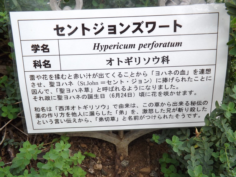 ナードジャパンアロマインストラクターレッスン詳細